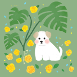 puppy and leaf 복사본.png